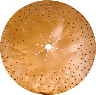 Abrasives 16” Tungsten Carbide Disc