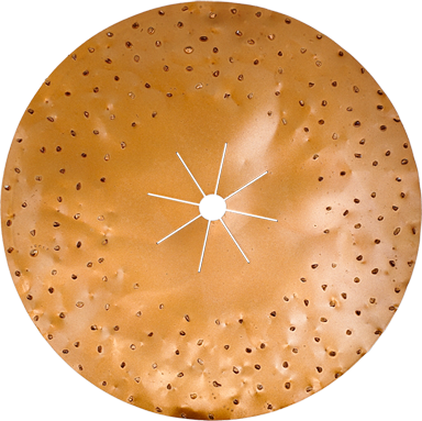 Abrasives 16” Tungsten Carbide Disc